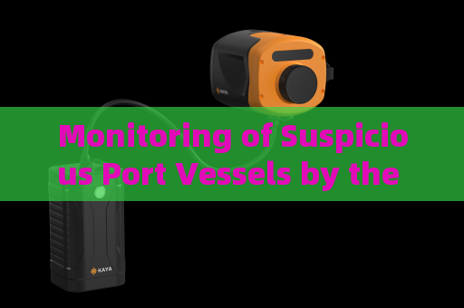 Monitoring of Suspicious Port Vessels by the Penetration Imager in Strong Backlight Overexposure Conditions with Strong Light Suppression Imaging