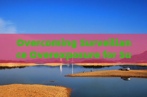 Overcoming Surveillance Overexposure for Suspicious Vessels Under Severe Port Backlight with Strong Light Suppression Imaging