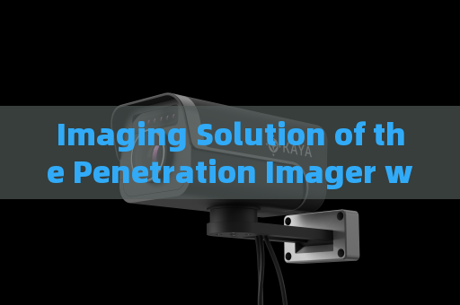 Imaging Solution of the Penetration Imager with Strong Light Suppression Imaging in High-Glare Port Environments