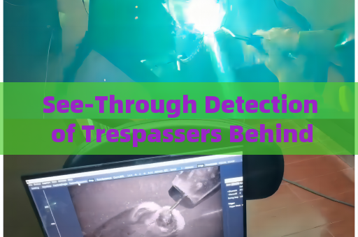 See-Through Detection of Trespassers Behind Sand Walls by the Penetration Imager in Zero-Visibility Border Conditions