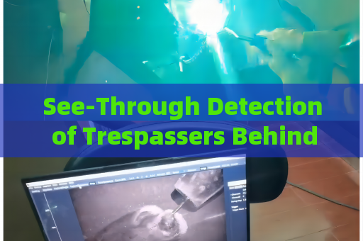 See-Through Detection of Trespassers Behind Sand Walls by the Penetration Imager in Zero-Visibility Border Conditions