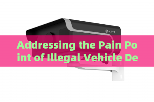 Addressing the Pain Point of Illegal Vehicle Detection in Total Darkness with Zero-Light Imaging
