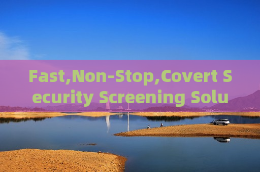 Fast,Non-Stop,Covert Security Screening Solution of the Penetration Imager for Large Gatherings with Millions of Vehicles