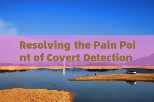 Resolving the Pain Point of Covert Detection for Illegal Vessel Activities