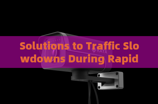 Solutions to Traffic Slowdowns During Rapid Vehicle and Occupant Inspection at Airport Entrances