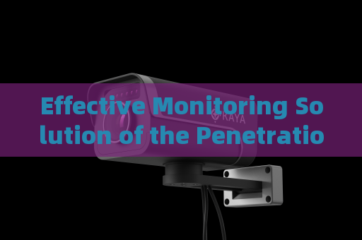 Effective Monitoring Solution of the Penetration Imager with Strong Light Suppression Imaging in High-Glare Coastal Environments