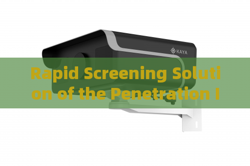 Rapid Screening Solution of the Penetration Imager for High-Reflective Mirror-Film Vehicles with Through-Tint Imaging