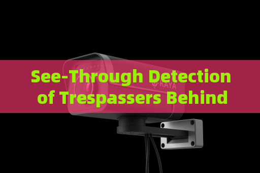 See-Through Detection of Trespassers Behind Sand Walls by the Penetration Imager in Zero-Visibility Border Conditions