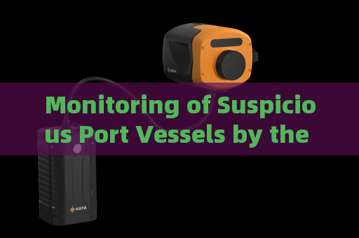 Monitoring of Suspicious Port Vessels by the Penetration Imager in Strong Backlight Overexposure Conditions with Strong Light Suppression Imaging