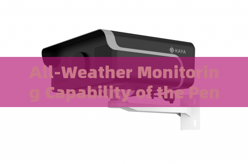 All-Weather Monitoring Capability of the Penetration Imager with All-Weather Penetration Technology When Severe Weather Disables Checkpoints