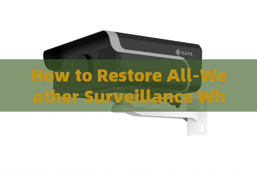 How to Restore All-Weather Surveillance When Checkpoints Fail in Severe Weather
