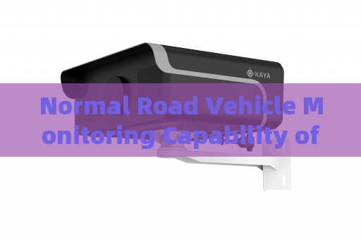 Normal Road Vehicle Monitoring Capability of the Penetration Imager with All-Weather Penetration Technology in Severe Weather