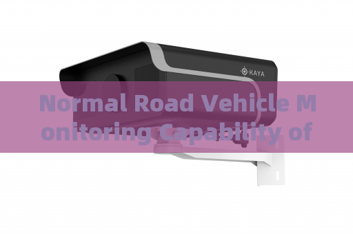 Normal Road Vehicle Monitoring Capability of the Penetration Imager with All-Weather Penetration Technology in Severe Weather