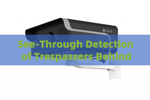 See-Through Detection of Trespassers Behind Sand Walls by the Penetration Imager in Zero-Visibility Border Conditions