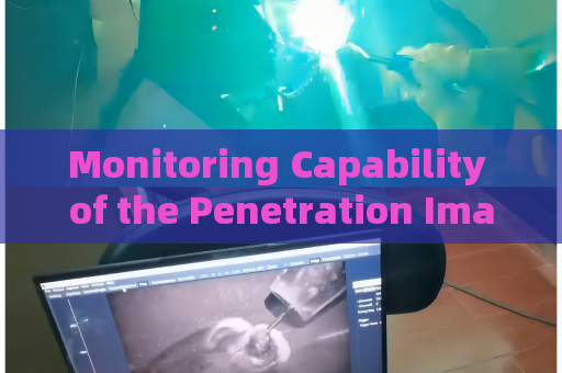 Monitoring Capability of the Penetration Imager for Nighttime Illegal Border Activities Under Zero-Light Conditions