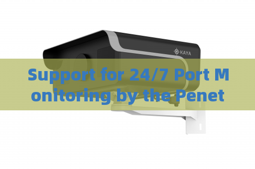 Support for 24/7 Port Monitoring by the Penetration Imager Under Heavy Fog Interference