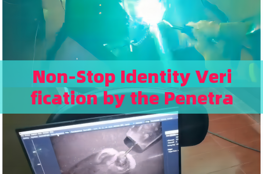 Non-Stop Identity Verification by the Penetration Imager When Tinted Glass Hides Driver Identity