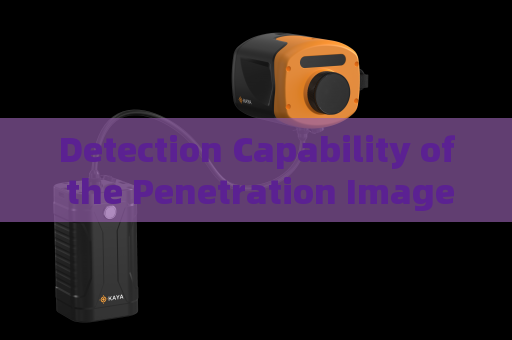Detection Capability of the Penetration Imager for Illegal Vehicles in Complete Darkness