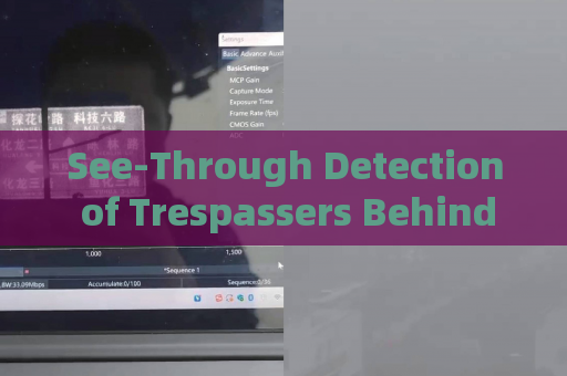 See-Through Detection of Trespassers Behind Sand Walls by the Penetration Imager in Zero-Visibility Border Conditions